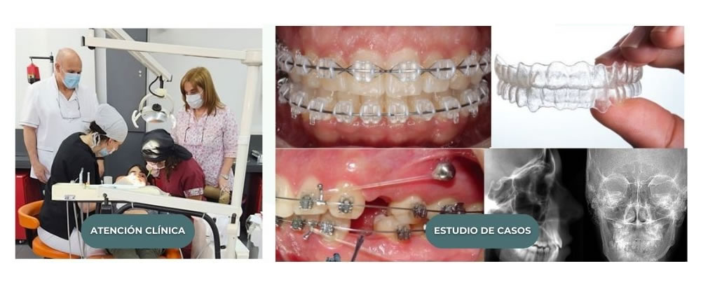 CURSO ANUAL DE PERFECCIONAMIENTO - Dr. Roberto Hugo Ruiz